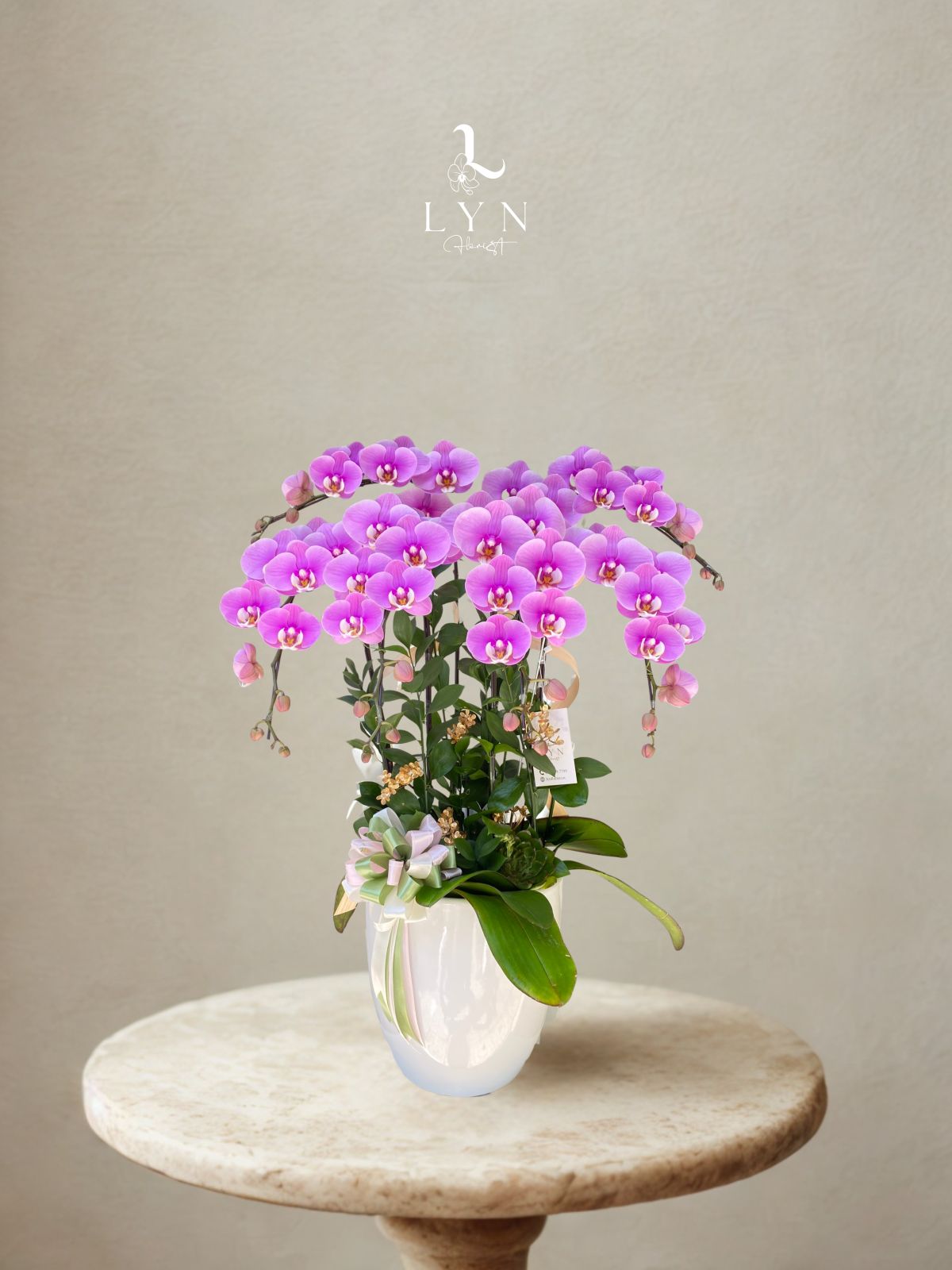 Chậu Hoa Lan Hồng Hanna